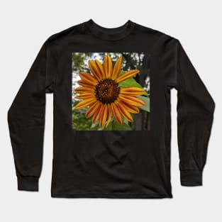 Orange and Yellow Sunflower Missing Petals Photographic Image Long Sleeve T-Shirt